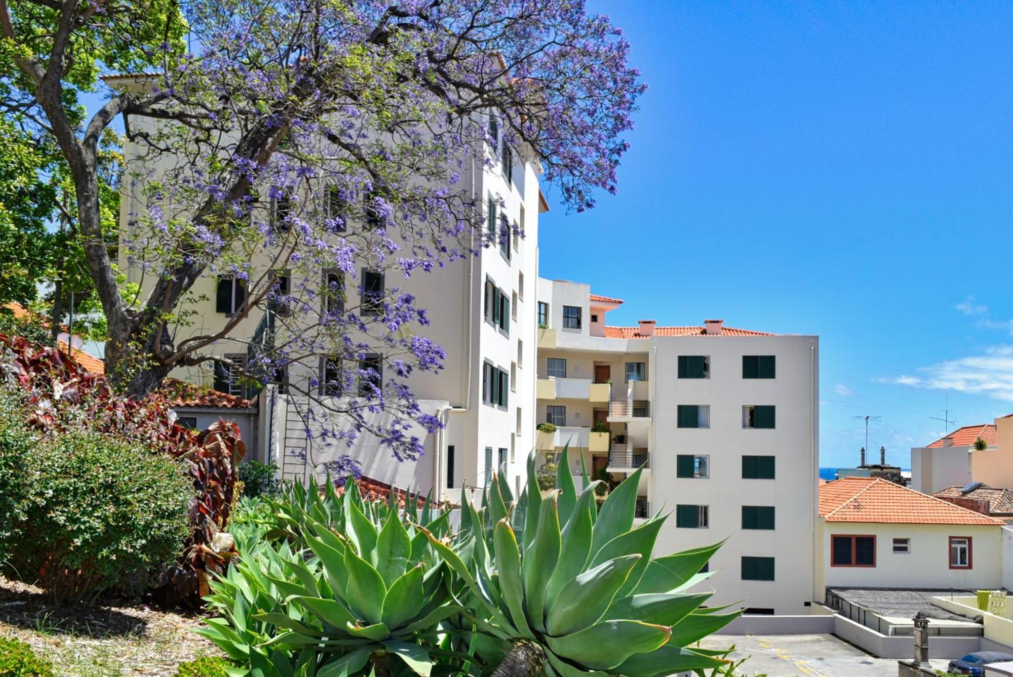 Encarnacao Apartment, A Home In Madeira Funchal  Exterior photo